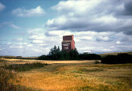 Grain elevator - Court, Saskatchewan