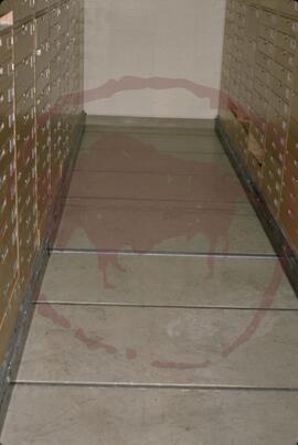 Curation cabinets trackway