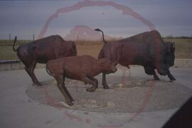 Wanuskewin : bull, cow, and calf bison sculptures