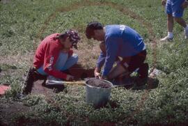 Field staff at excavation site