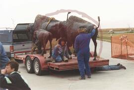 Lloyd Pinay with two others with bronze bull, cow and calf sculptures on flat bed trailer