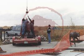 Lloyd Pinay and person preparing to lift bronze bull from flat bed trailer with crane while anoth...