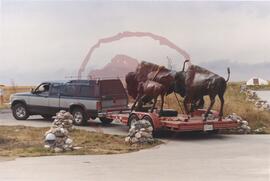 Bronze bull, cow and calf sculptures being delivered for installation