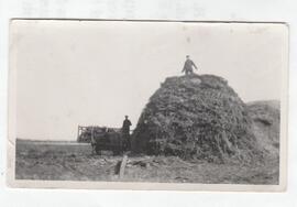 Two men loading hay from rack to stack, ca. 1920
